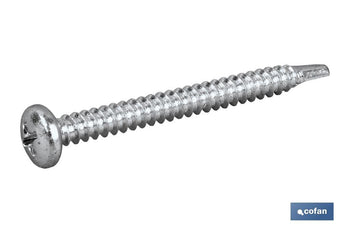 Tornillo Autotaladrante Cabeza Cilíndrica Phillips Zincado Cofan · Imagen de la familia