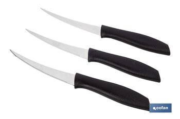 Pack de 3 cuchillos para fruta y verdura con mango ergonómico | Hoja de acero inoxidable | Longitud de la hoja: 10 cm