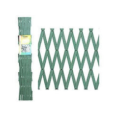 Collection image for: Celosias plasticas