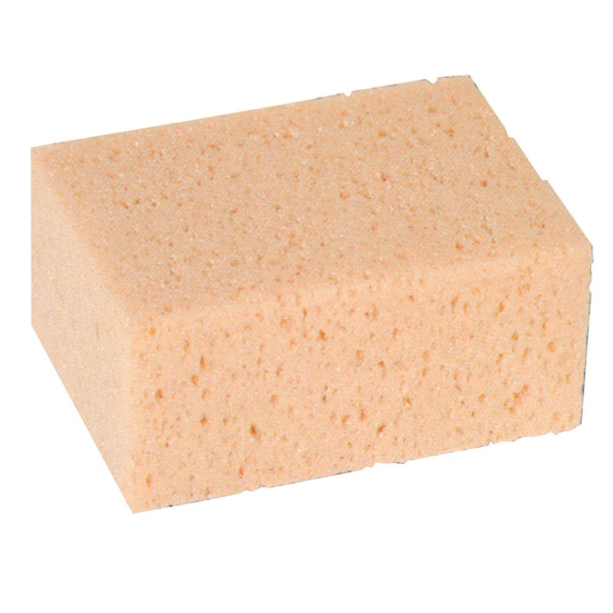 esponja