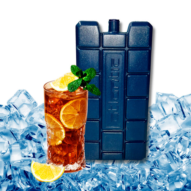 Acumulador de frio 450 gr.