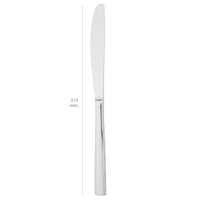 Flair Table Knife 213 mm. Box of 12 units