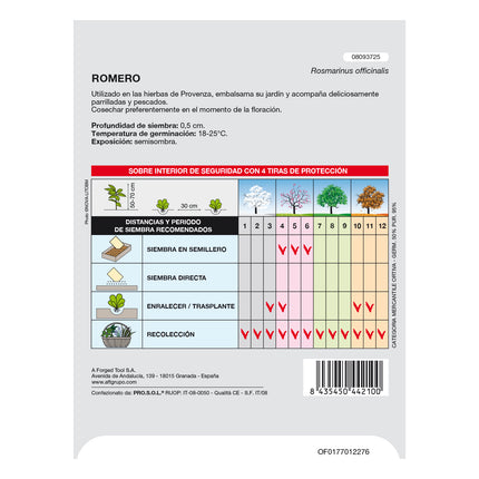  semillas aromáticas