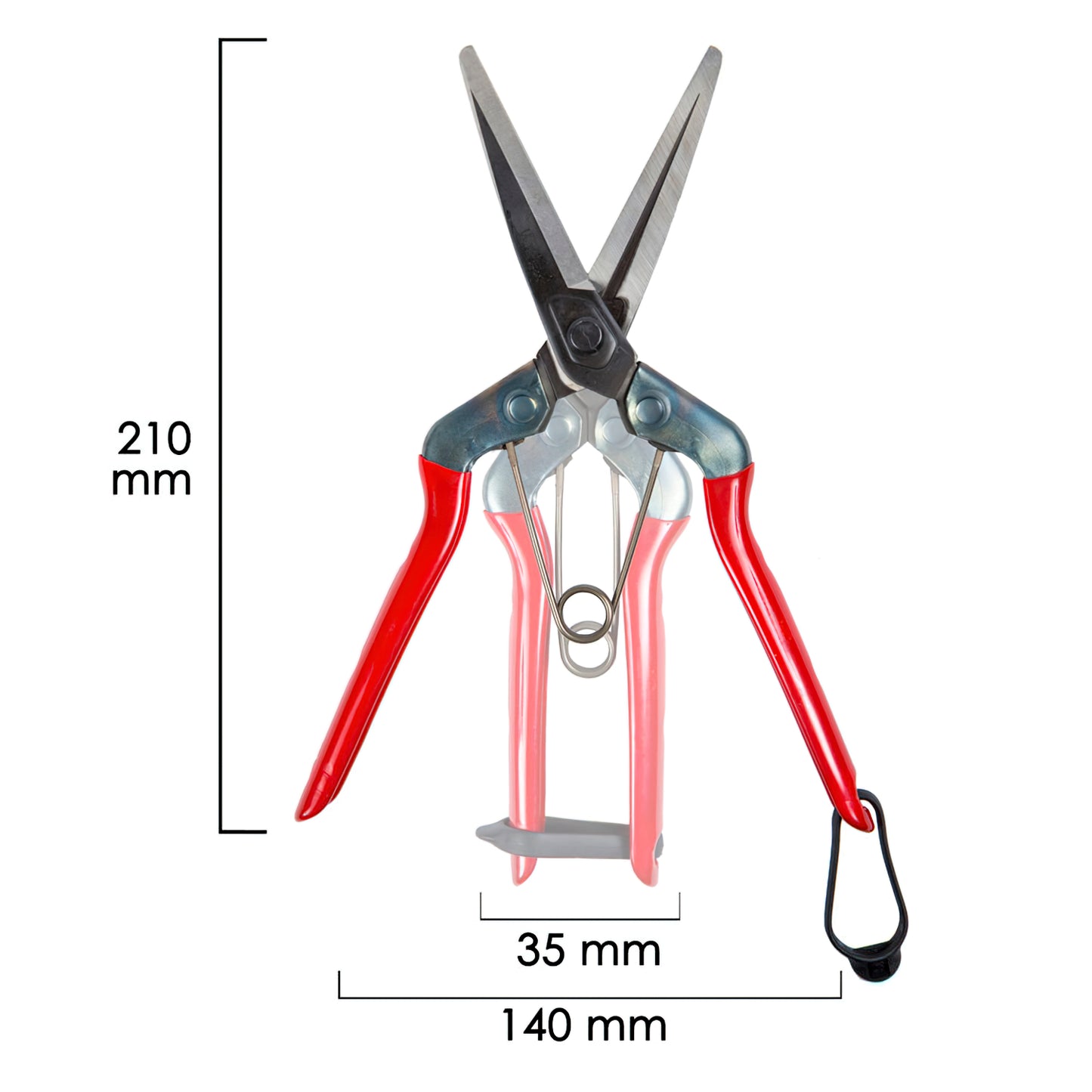 T 702 210 mm Harvesting Scissors.