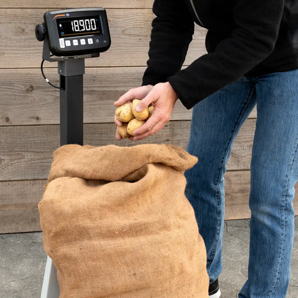 Balanza con verificación PCE-MS PP300-1-60x70-M