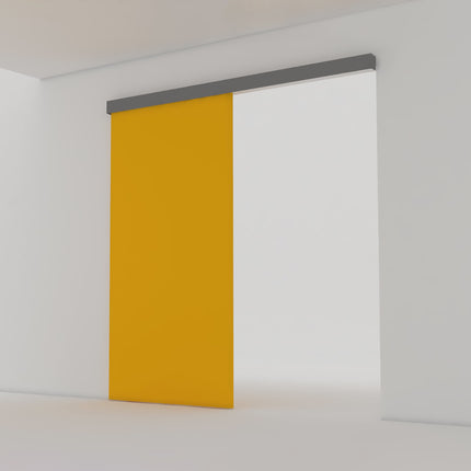 Emuca Railway sliding system kit for wooden hanging sliding doors with soft closing, 80kg, Aluminium, Matt anodized