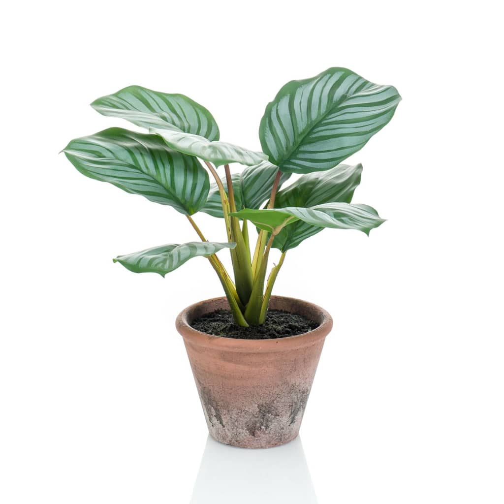 Emerald Calathea Orbifolia artificial Terra in pot 32 cm