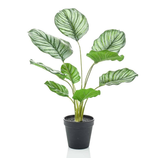 Artificial Emerald Calathea Orbifolia in pot 45 cm