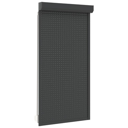 vidaXL Anthracite Gray Aluminum Blind 110x220 cm