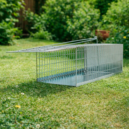 Trampa Ratas Jaula Metal Completa 30 x 17 x 11 cm. · Vista 4