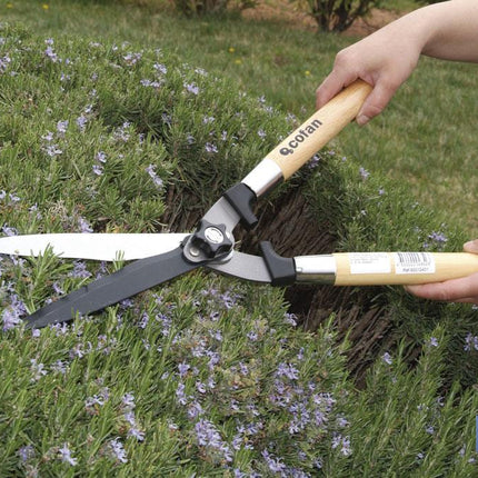Cizalla corta setos profesional | Mango ergonómico de madera | Para jardinería y arbusto