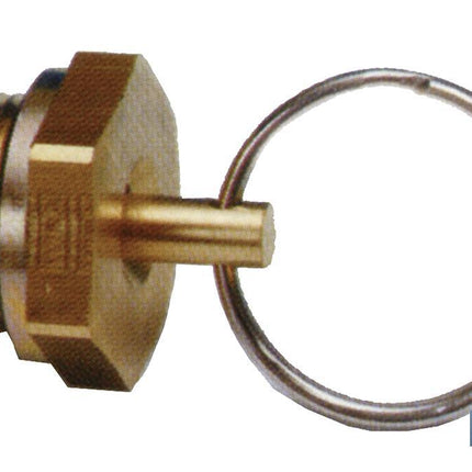Grifo de Purga