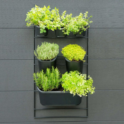 Nature Vertical Garden Wall Kit 