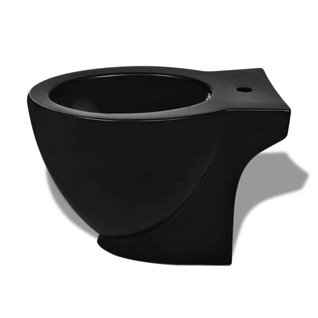 Black ceramic toilet and bidet