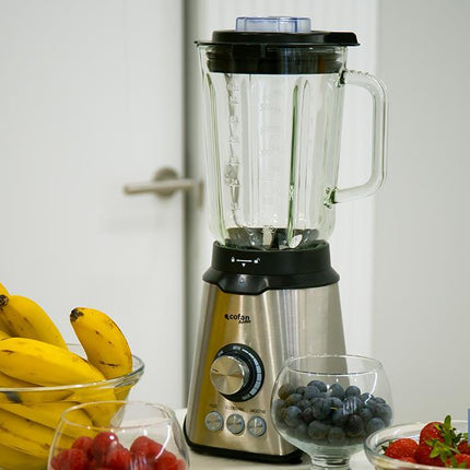 Batidora de vaso | Potencia 1000 W | Capacidad de 1,7 litros | Fabricada en acero inoxidable y vidrio