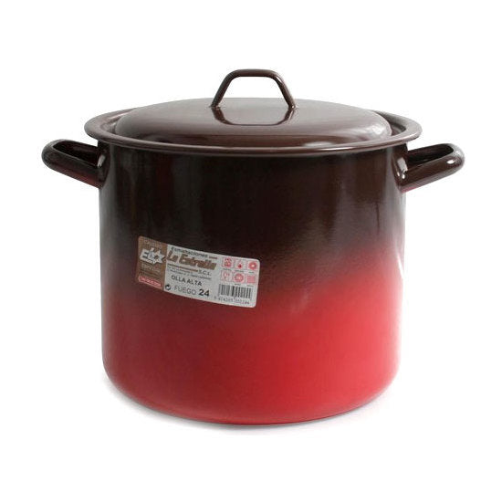 High pot with lid 24cm - 9l fire