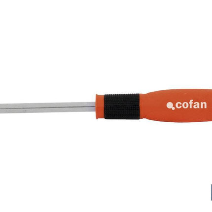 Destornillador pozidriv Cofan · Imagen de la familia