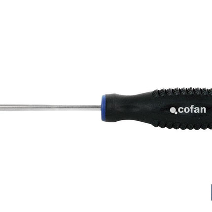 Destornillador Spanner doble punta Cofan · Imagen de la familia