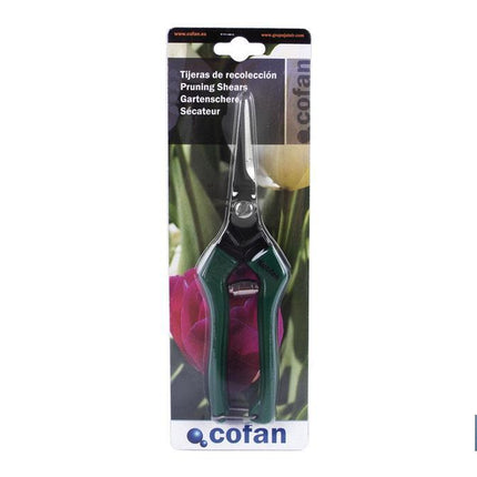 Tijeras de recolección con punta recta y longitud total de 205 mm | Especiales para jardinería
