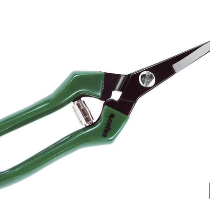 Tijeras de recolección con punta recta y longitud total de 205 mm | Especiales para jardinería
