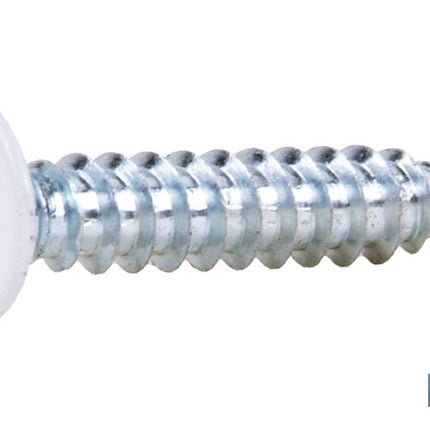 Tornillo autotaladrante cabeza extraplana Phillips Blanco Cofan · Imagen de la familia