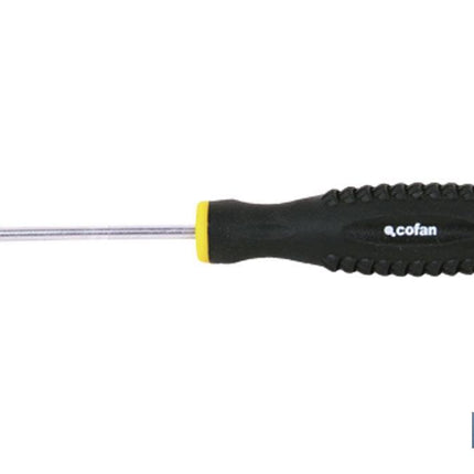 Destornillador Torx DIN 50150 Cofan · Imagen de la familia