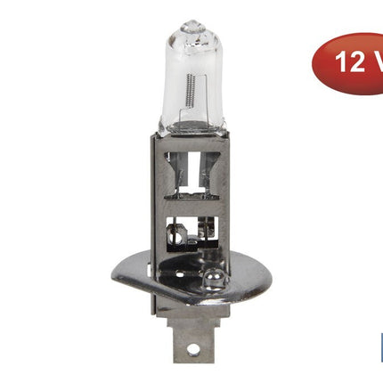Lámpara Halógena H1 (P14,5S) 12V 55W | Pack: 10 uds