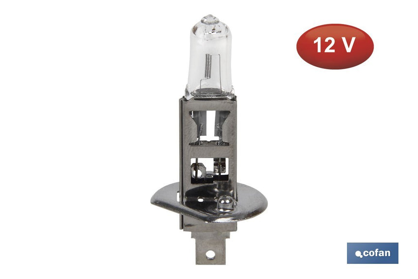Lámpara Halógena H1 (P14,5S) 12V 55W | Pack: 10 uds