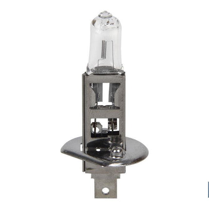 Lámpara Halógena H1 (P14,5S) 12V 55W | Pack: 10 uds