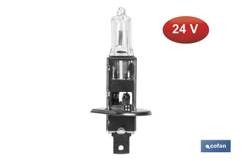 Lámpara halógena H1 (P14,5S) 24 V 70 W | Pack: 10 unidades