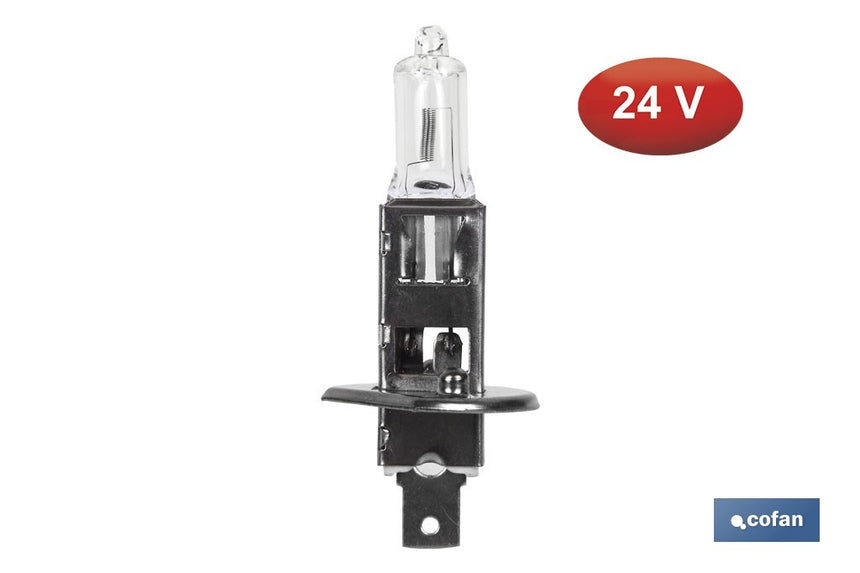 Lámpara halógena H1 (P14,5S) 24 V 70 W | Pack: 10 unidades