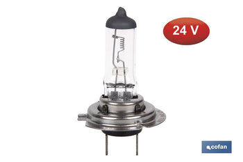 Lámpara halógena H7 (Px26d) 24 V 70 W | Pack: 10 unidades