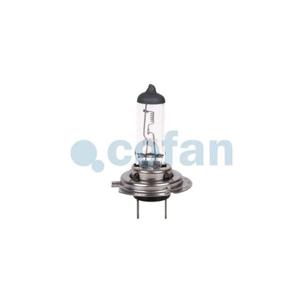 Lámpara halógena H7 (Px26d) 24 V 70 W | Pack: 10 unidades
