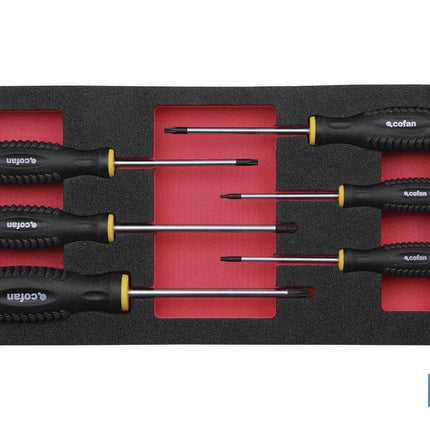 Módulo de espuma con herramientas | Para 1/3 cajón del carro de herramientas cofan | Destornilladores torx 6 piezas