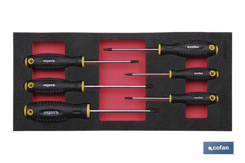 Módulo de espuma con herramientas | Para 1/3 cajón del carro de herramientas cofan | Destornilladores torx 6 piezas