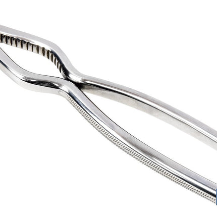 Cascanueces de acero inoxidable | Adecuado para frutos secos | Material: Acero inoxidable AISI 420 | Longitud: 18 cm