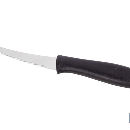 Pack de 3 cuchillos para fruta y verdura con mango ergonómico | Hoja de acero inoxidable | Longitud de la hoja: 10 cm