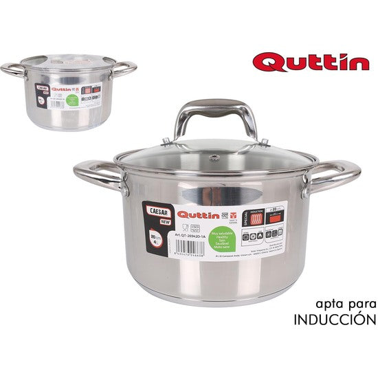 NEW CAESAR 20CM INDUCTION STEEL POT WITH LID