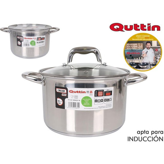 NEW CAESAR 22CM INDUCTION STEEL POT WITH LID