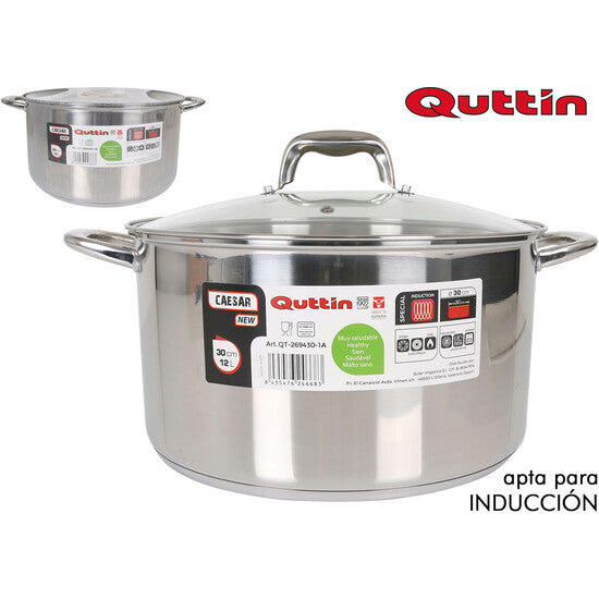 NEW CAESAR 30CM INDUCTION STEEL POT WITH LID