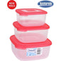 SET OF 3 SQUARE LUNCH BOXES - CORAL